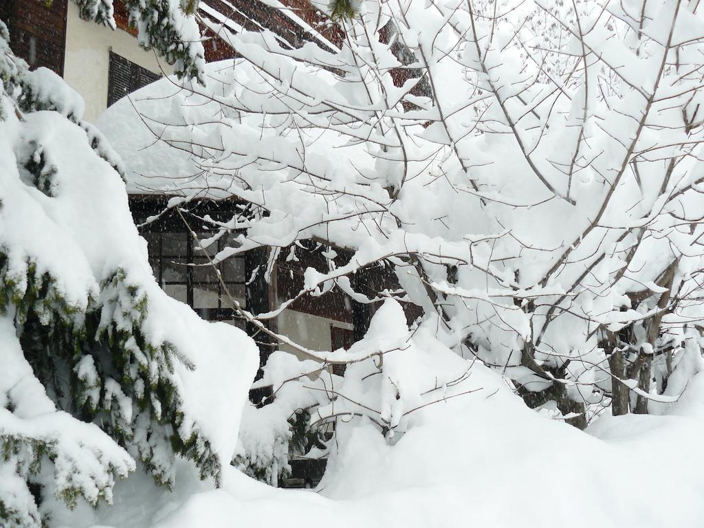 Residence Felik Gressoney-la-Trinité Exterior photo
